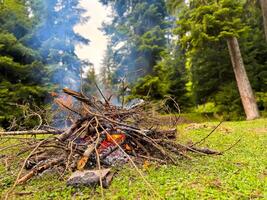 Burning bonfire made of branches and sticks with rising smoke in forest clearing surrounded by pine trees. Natural outdoor scene for camping and adventure. Hiking trip or overnight stays in forest. photo