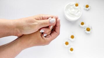 Close up of middle age woman hands applying cream with chamomile flowers and hand cream container on white background. Skincare and natural beauty concept. photo