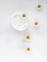 Open jar of white hand or body cream with chamomile flowers on white background. Top view composition. For skincare and beauty product concept. photo
