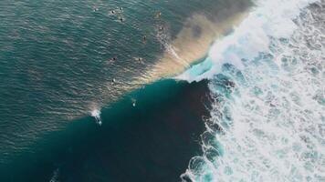 surf a barril ondas. hinchar olas en Oceano y surfistas en línea arriba video