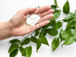 Close up of middle age woman hand holding of hand cream with green leaves on a white background. Skincare and natural beauty concept. For healthcare, wellness, and organic product poster. photo