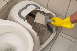 The hand of a man in a yellow glove is sifting his litter in a cat pot in the bathroom. photo