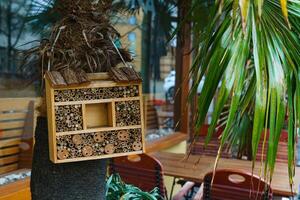 Wooden house for insects installed in a roadside cafe on palm. photo