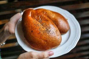 Person Holding Plate With Two Hot Dogs photo