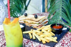 Plate With Sandwich and French Fries photo