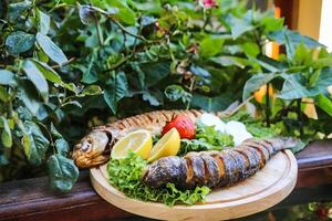 Grilled Fish and Vegetables Plated on Table photo
