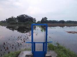 irrigación canal con azul metal puerta para arroz campos foto