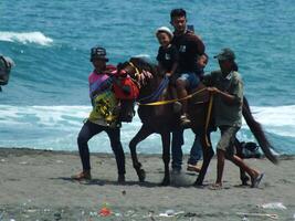 kebumen, central Java, Indonesia abril 11, 2024 personas disfrutar vacaciones montando un caballo durante brillante luz a ambal playa. verano familia turista Mancha con Oceano ola antecedentes. foto