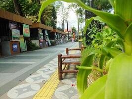 Surakarta, April 11 2024, quiet streets with lush trees and other public facilities around Manahan Stadium. photo
