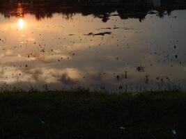 resumen antecedentes imagen de un amanecer reflexión en un pantano agua superficie. siluetas de cañas creciente en rural pantano ese refleja dorado ligero desde el Dom foto