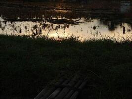 relaxing and calming scenery of an old bamboo bridge crossing an irrigation chanel to rice field with golden yellow light from the sun rise photo