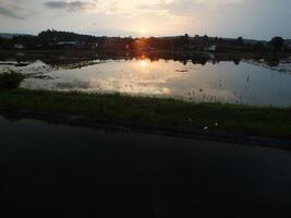 relaxing and calming scenery of an old bamboo bridge crossing an irrigation chanel to rice field with golden yellow light from the sun rise photo