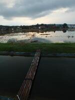 relaxing and calming scenery of an old bamboo bridge crossing an irrigation chanel to rice field with golden yellow light from the sun rise photo