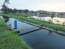 irrigation channel with blue metal door for rice fields photo