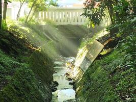 Mystical morning sunbeams on a park with bridge as a background. Sunlight through trees and river photo