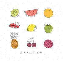 Fruits icons kiwi, watermelon, orange, currant, lemon, apple, pineapple, cherry, raspberries drawing with color in linear style on white background vector