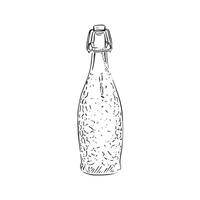 A line drawn black and white illustration of a glass drinks bottle. Shaded using lines and drawn in a sketchy style. vector
