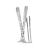 A line drawn illustration in black and white of skis and ski poles in snow. No background. Hand drawn and shaded in black lines on Procreate using an Apple Pencil. vector