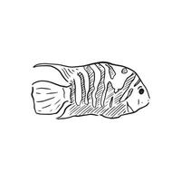 A line drawn illustration of a tropical fish in black and white with lined shading. Drawn by hand and vectorised in a sketchy style vector