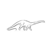 A line drawn illustration of a brontosaurus. Hand drawn in black and white and shaded using lines. A simple sketchy style illustration vector