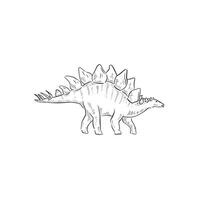 A line drawn illustration of a stegosaurus. Hand drawn in black and white and shaded using lines. A simple sketchy style illustration vector