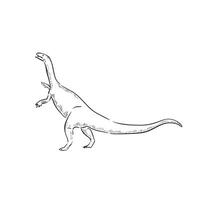 A line drawn illustration of a plateosaurus. Hand drawn in black and white and shaded using lines. A simple sketchy style illustration vector