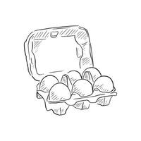 A line drawing of an egg box with a dozen eggs enclosed. A sketchy style with shading, created on Procreate with an Apple Pencil vector