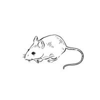 A line drawn illustration of a mouse in black and white sketch style vector