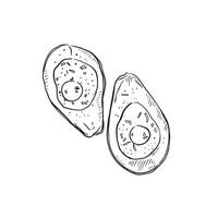 A line drawn illustration of two avocados with eggs baked inside. The perfect healthy breakfast. Hand drawn in black and white and shaded in line vector