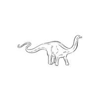 A line drawn illustration of a apatosaurus. Hand drawn in black and white and shaded using lines. A simple sketchy style illustration vector