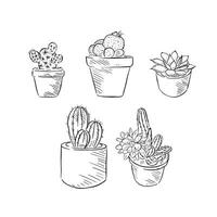 A line drawn illustration of five individual eps files of house plants and cacti in black and white. Drawn by hand in a sketchy style vector