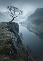 Lone tree clings to the edge of cliff overlooking river and mountains photo