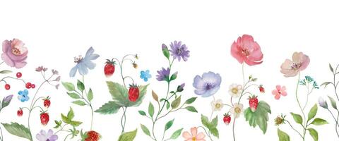 Seamless watercolor border. Hand drawn floral illustration isolated on white background. vector