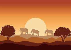 animals and wildlife in africa, nature illustration. vector