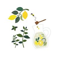 Fresh summer lemon drinks and mint, fresh cold lemonade with mint and lemon wedges in a decanter, flat lemonade with honey, cute cartoon little bee vector