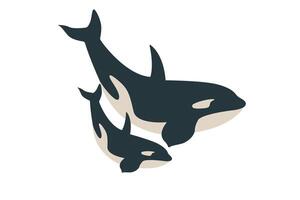 flat illustration isolated on white background, sea animals illustration, flat big killer whale with a baby whale, marine life vector