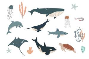 flat illustration isolated on white background, sea animals set, whale, shark, narwhal, jellyfish, dolphin, stingray, turtle and shrimp vector