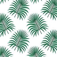 Pattern of tropical and palm leaves. Silhouettes green branches, leaves in minimalist flat style. Exotic summer background with leaves on white background. Print for gift wrapping, fabric, textile vector