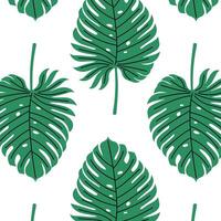 Pattern of tropical and palm leaves. Silhouettes green branches, leaves in minimalist flat style. Exotic summer background with leaves on white background. Print for gift wrapping, fabric, textile vector