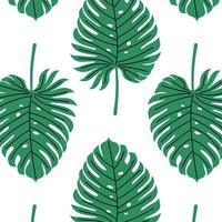 Pattern of tropical and palm leaves. Silhouettes green branches, leaves in minimalist flat style. Exotic summer background with leaves on white background. Print for gift wrapping, fabric, textile vector