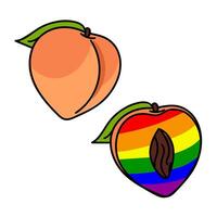 A set of peaches painted inside in all the colors of the rainbow. Individual fruits with contours and color. Whole and cut in different poses. An LGBT symbol. Suitable for website, packaging vector