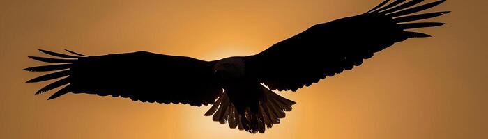 Eagle Soaring, A silhouette of an eagle with outstretched wings soaring high in the sky photo