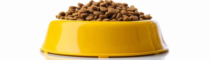 Dry cat food in a yellow bowl, isolated on white background photo