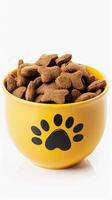 Dry cat food in a yellow bowl, isolated on white background photo