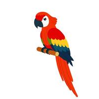 rojo loro en plano estilo. vistoso tropical pájaro en un blanco antecedentes. un tropical perico se sienta en un perca. vector