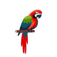 rojo loro en plano estilo. vistoso tropical pájaro en un blanco antecedentes. vector