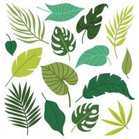 Set of tropical leaves and twigs in flat style. Summer botany. Leaves of palm, monstera and other tropical plants. vector