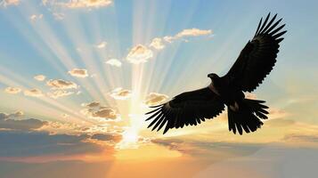 Eagle Soaring, A silhouette of an eagle with outstretched wings soaring high in the sky photo