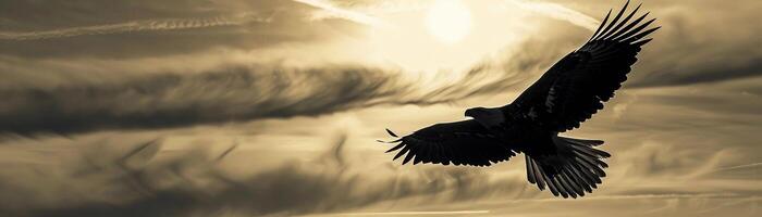 Eagle Soaring, A silhouette of an eagle with outstretched wings soaring high in the sky photo