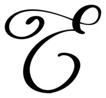 Hand drawn calligraphy letter E. Script font logo. Handwritten brush style flourish vector